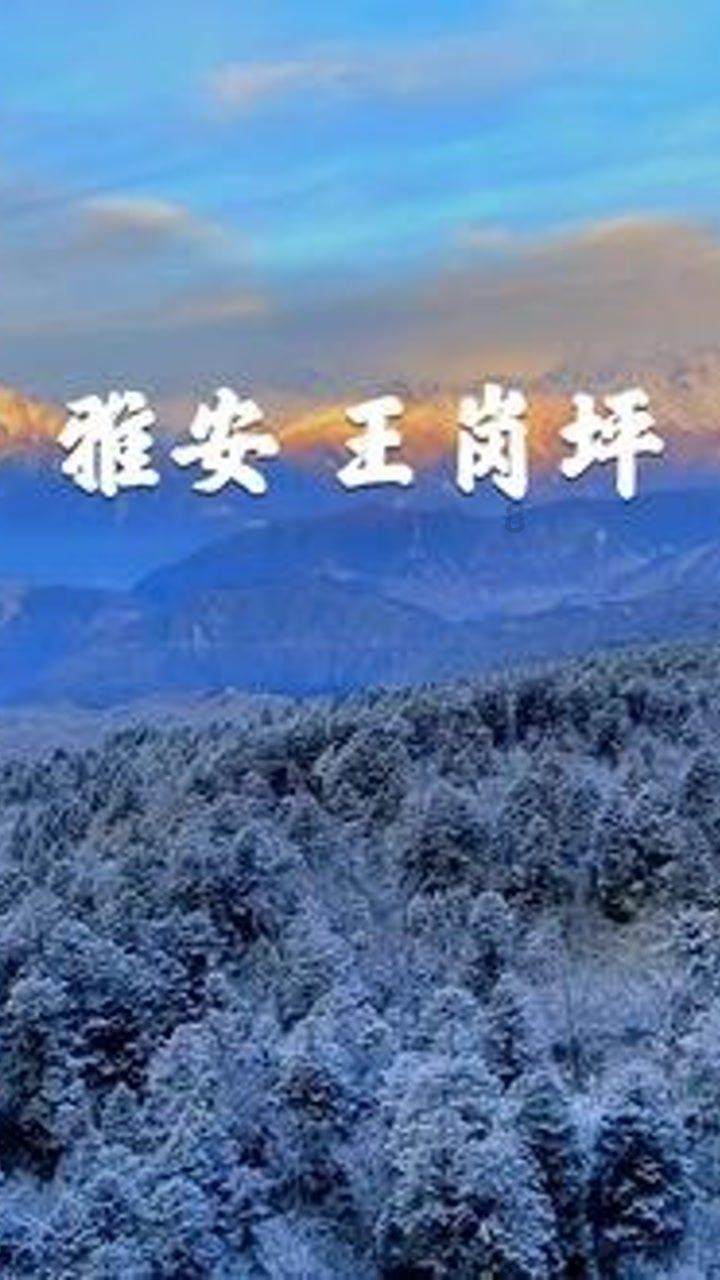 榴莲开了没熟也能催熟么？游戏画面