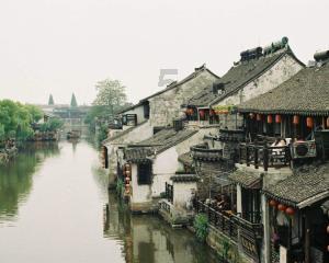 悲伤兔大冒险