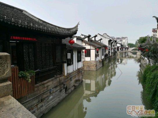 亚当玩高尔夫