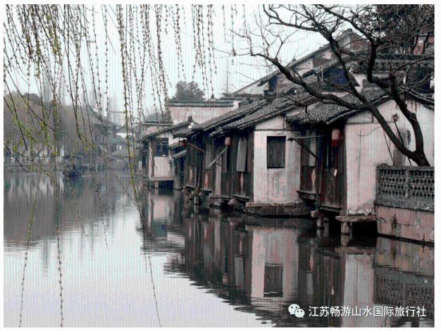 春雨直播app